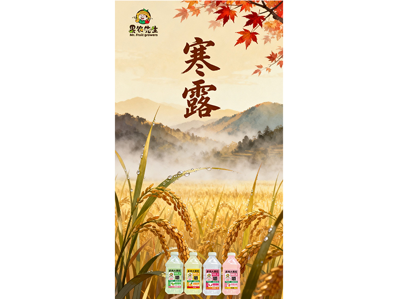 秋光凝聚 寒露成霜